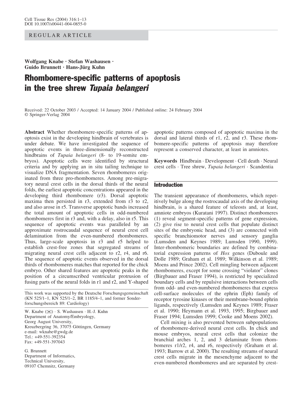 Rhombomere-Specific Patterns of Apoptosis in the Tree Shrew Tupaia Belangeri