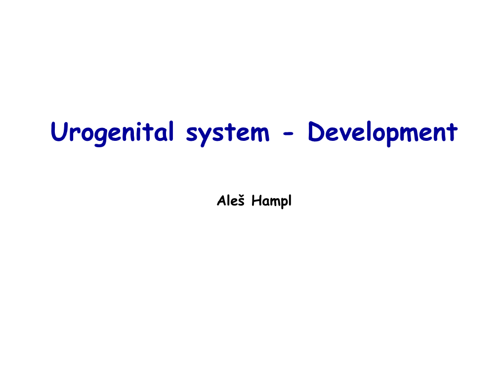 Urogenital System - Development