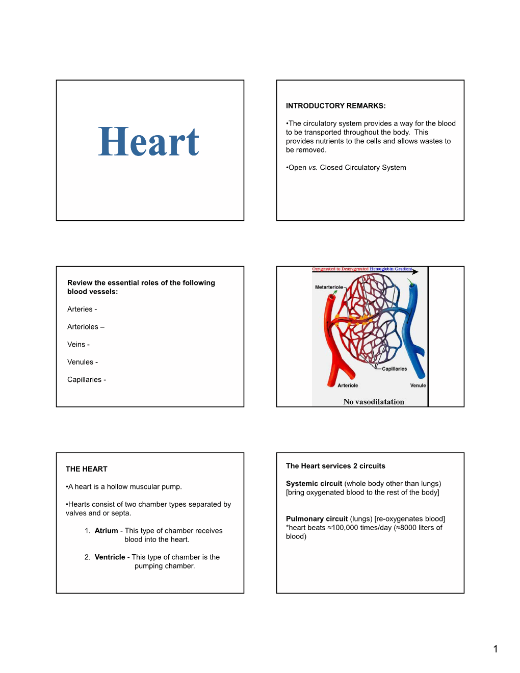 The Circulatory System Provides a Way for the Blood to Be Transported Throughout the Body