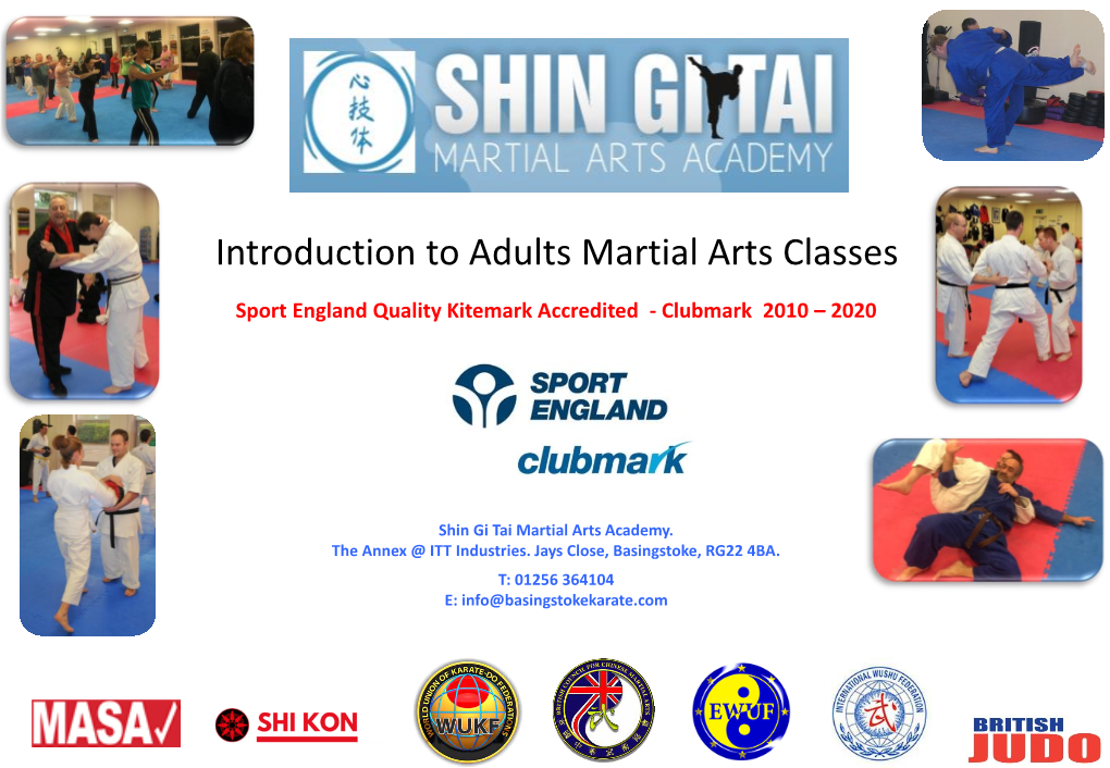 Adult's Introduction to Shin Gi Tai PDF File