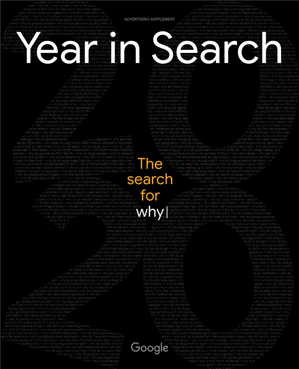 Year in Search