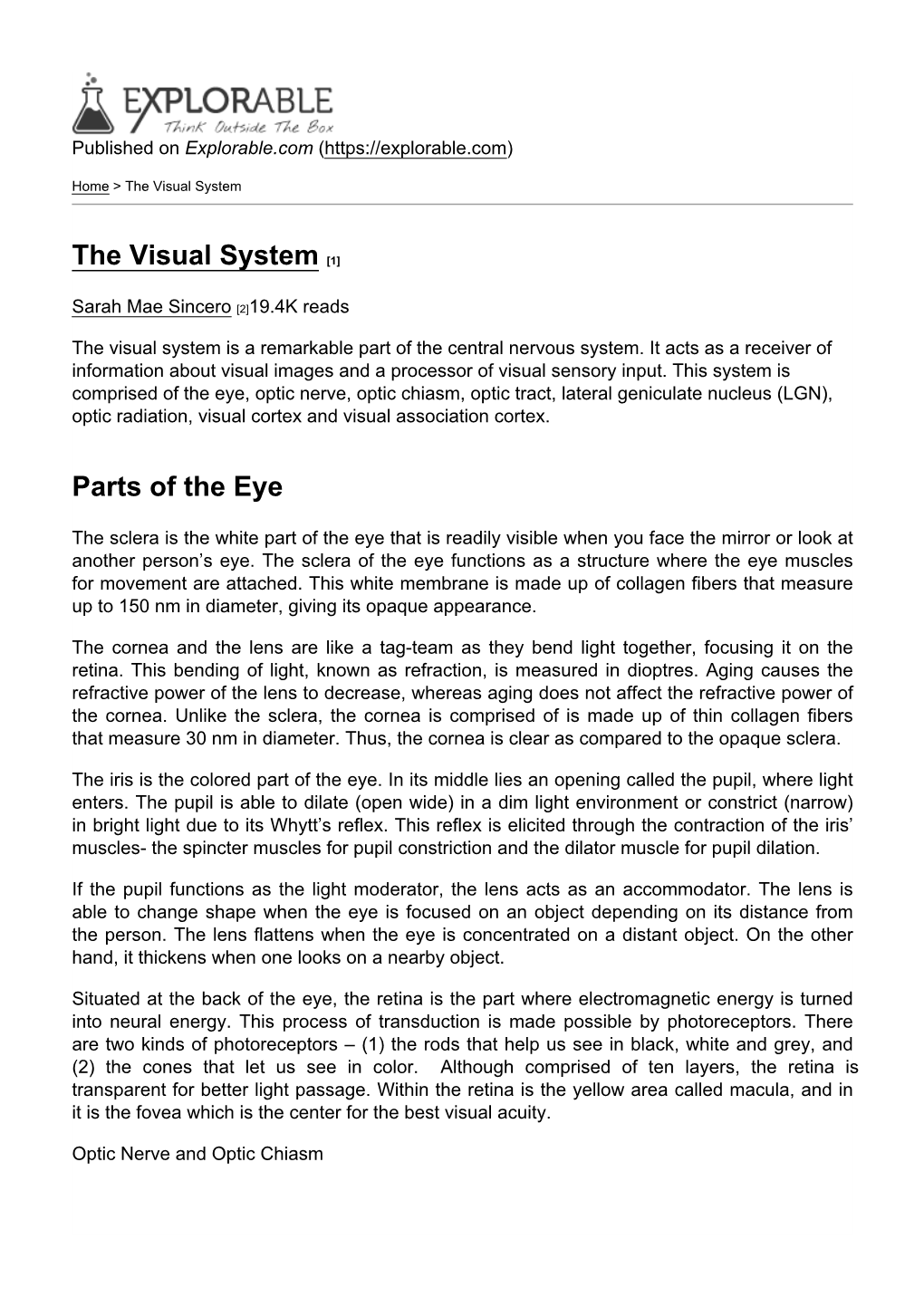 The Visual System