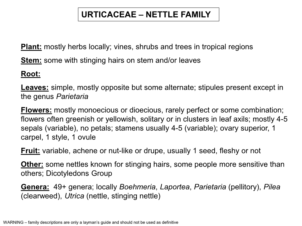 Urticaceae – Nettle Family