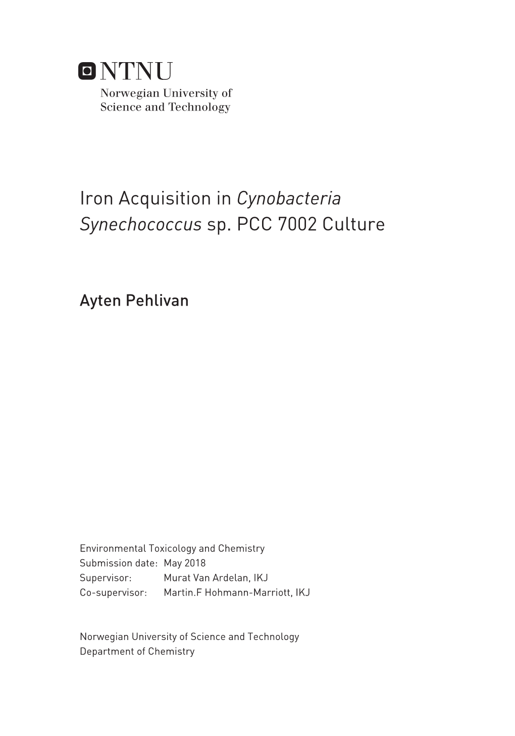 &lt;I&gt;Cynobacteria Synechococcus&lt;/I&gt; Sp. PCC 7002 Culture