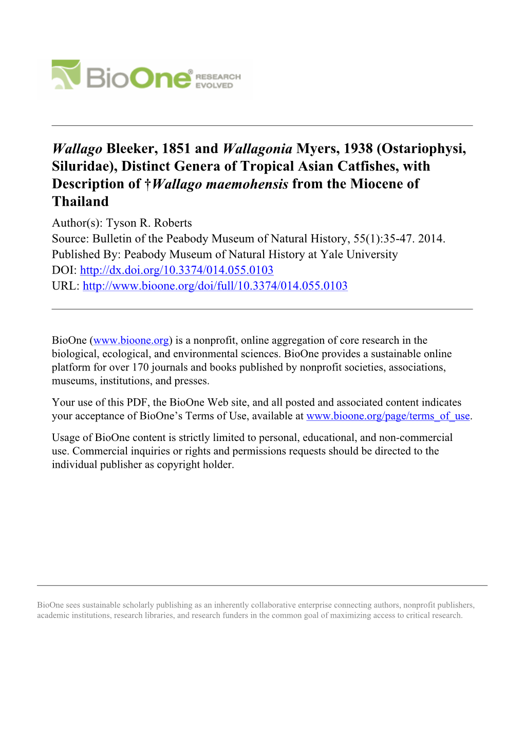 Wallago Bleeker, 1851 and Wallagonia Myers, 1938 (Ostariophysi, Siluridae), Distinct Genera of Tropical Asian Catfishes, with De