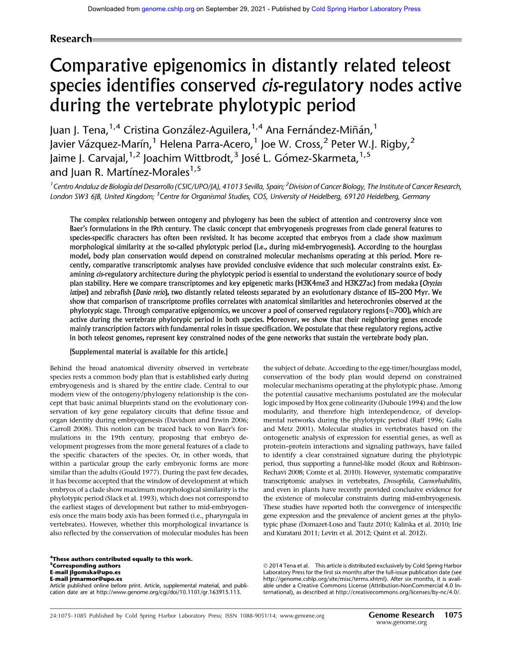 Comparative Epigenomics in Distantly Related Teleost Species Identifies Conserved Cis-Regulatory Nodes Active During the Vertebrate Phylotypic Period