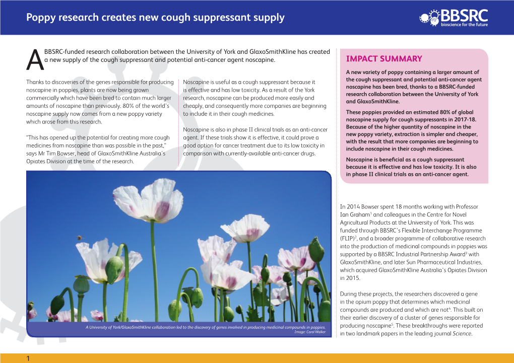 Poppy Research Creates New Cough Suppressant Supply