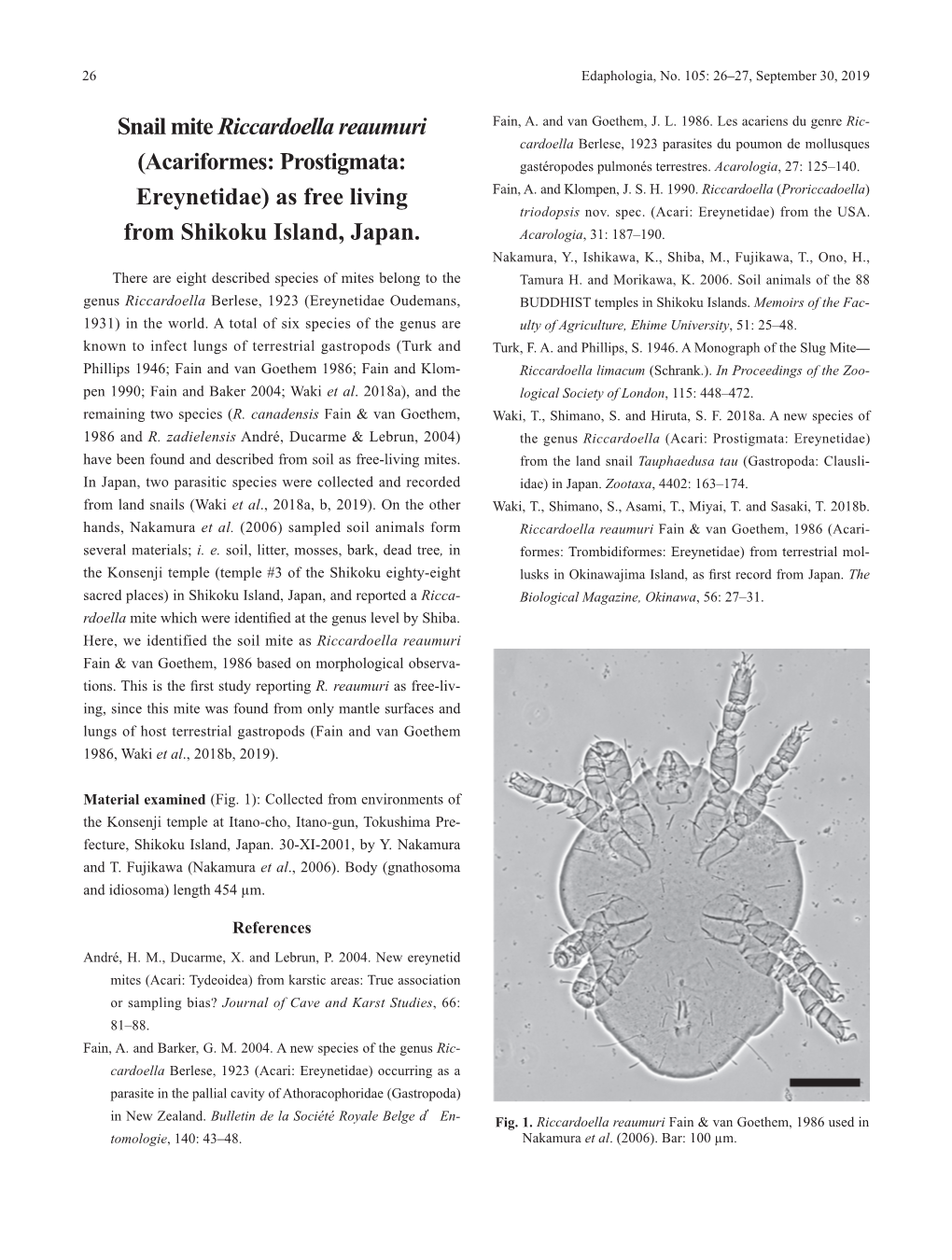 Snail Mite Riccardoella Reaumuri (Acariformes: Prostigmata