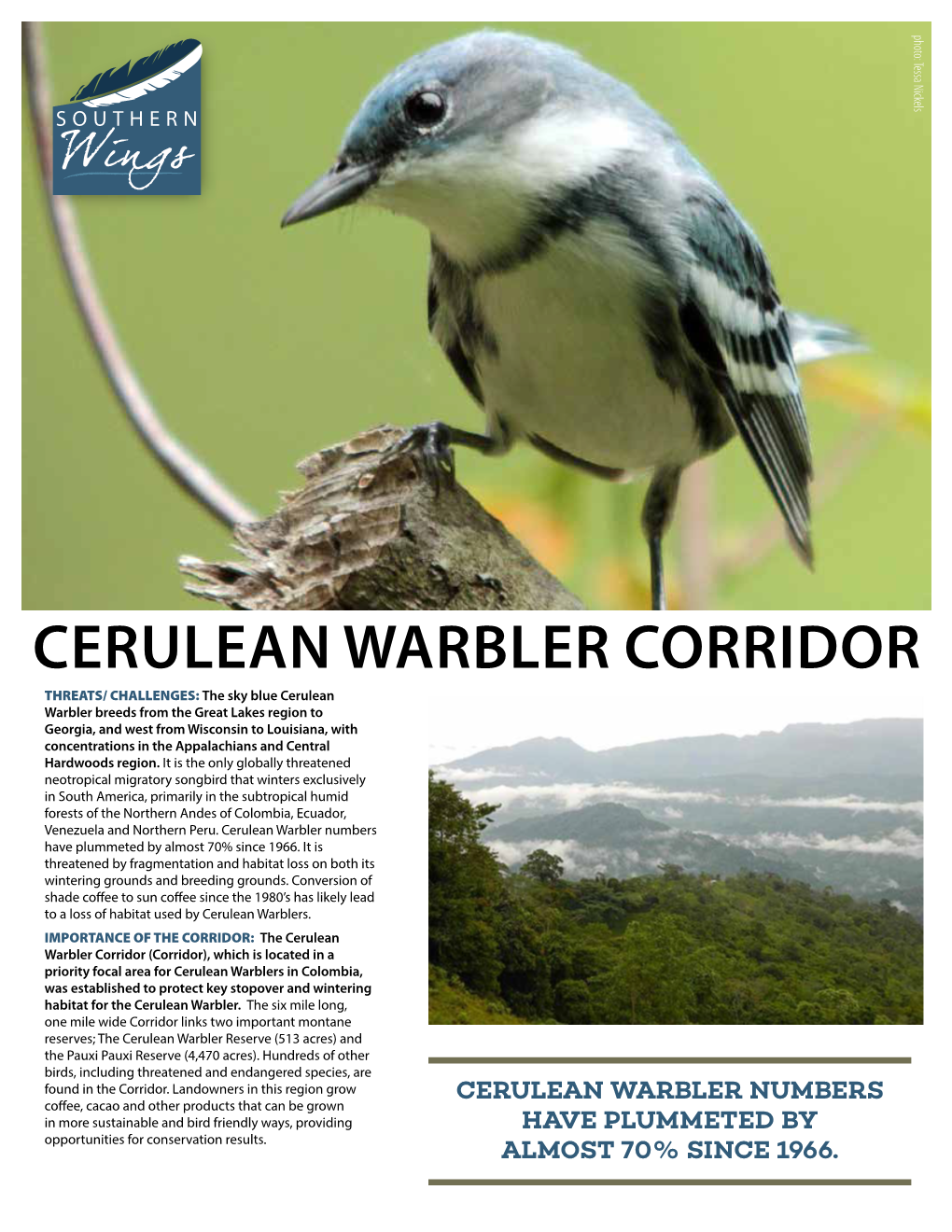 Cerulean Warbler Corridor