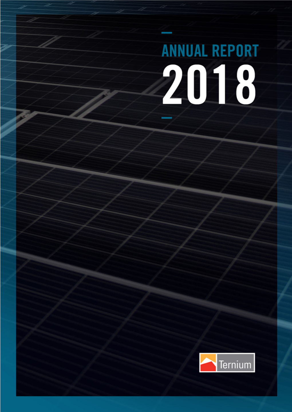 Ternium 2018 Annual Report