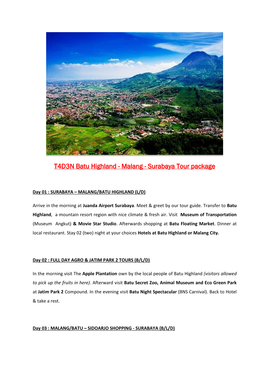 T4D3N Batu Highland - Malang - Surabaya Tour Package