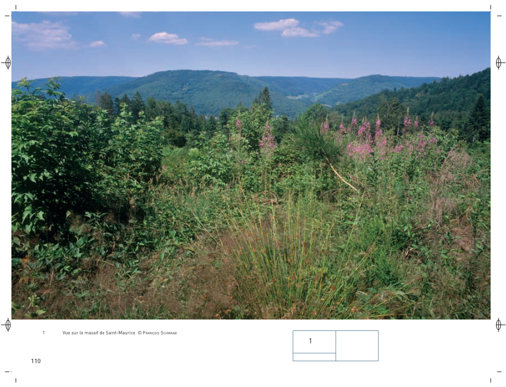 Massif De Saint-Maurice Et Bussang Superficie :686 Ha Département : Vosges Maître D’Ouvrage : PNRBV Opérateur : PNRBV