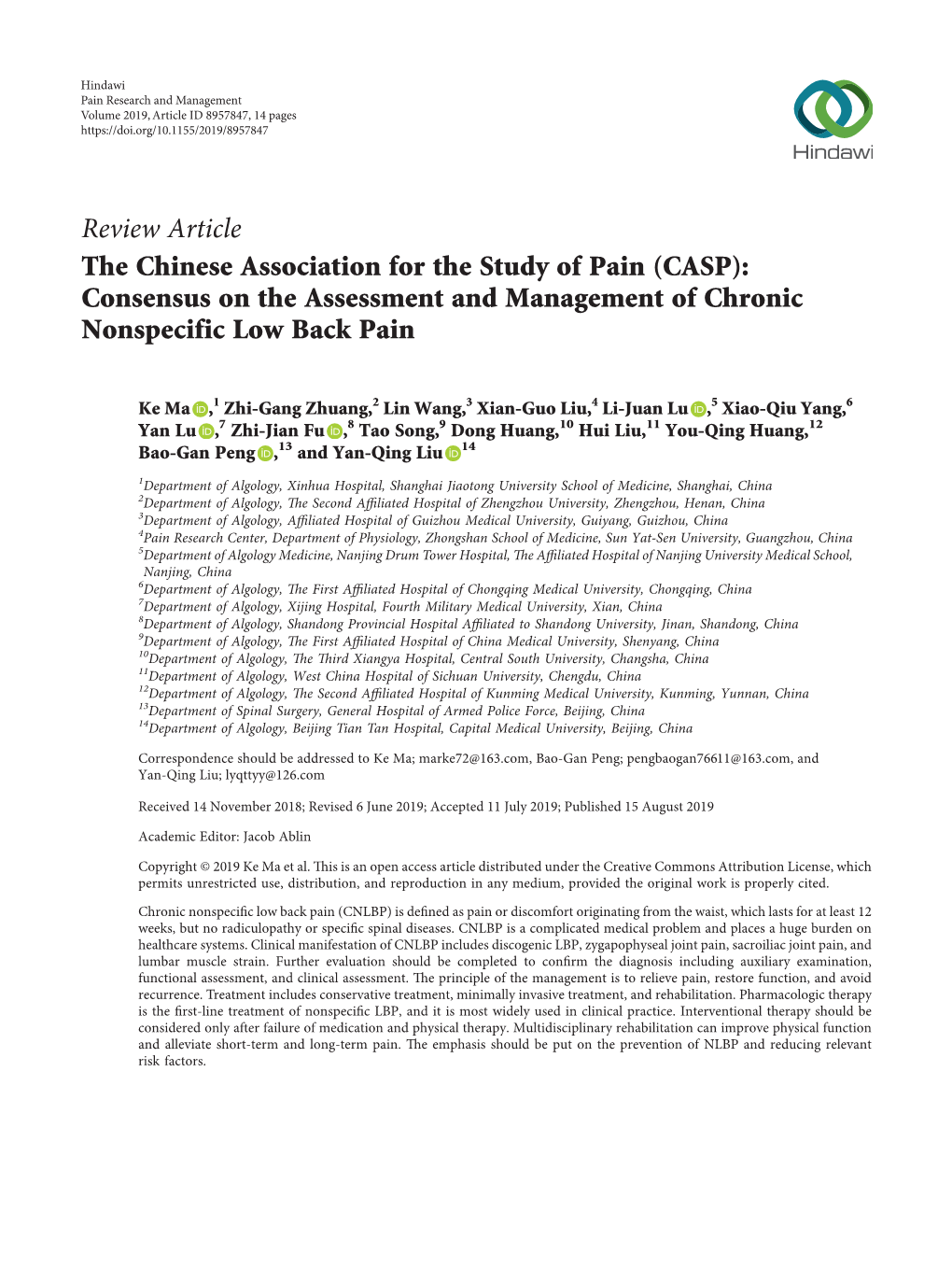 Consensus on the Assessment and Management of Chronic Nonspecific Low Back Pain