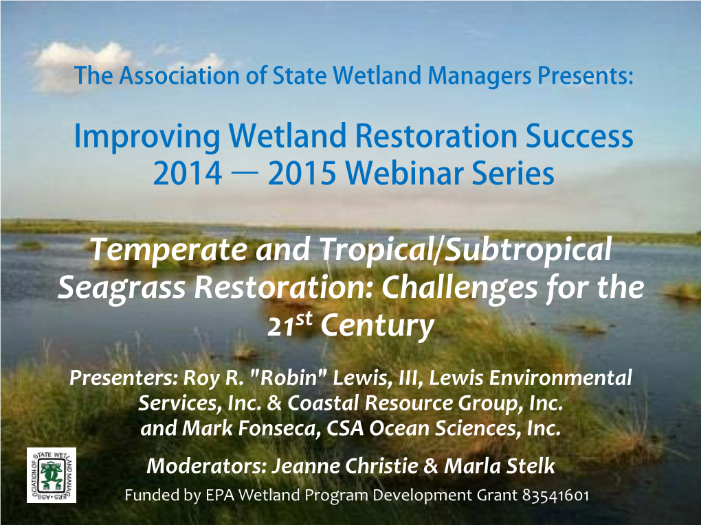 Temperate and Tropical/Subtropical Seagrass Restoration: Challenges for the 21St Century