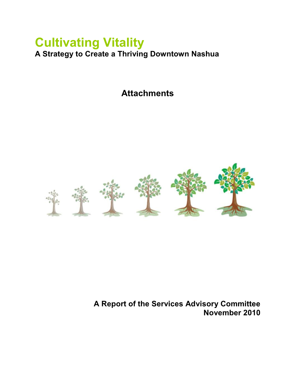 Cultivating Vitality a Strategy to Create a Thriving Downtown Nashua