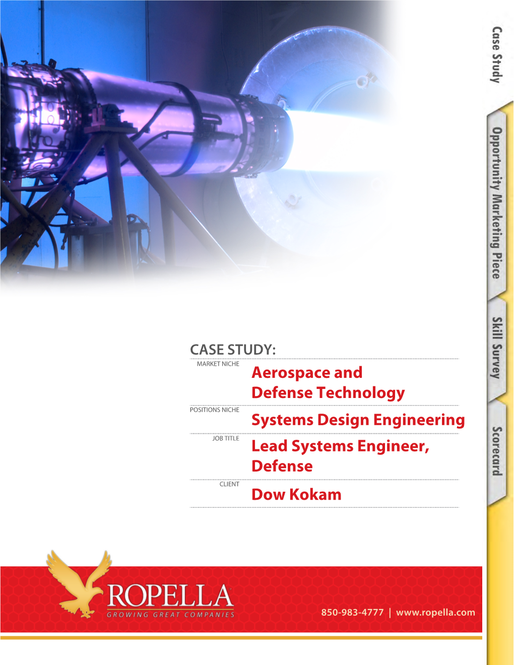 CASE STUDY: MARKET NICHE Aerospace and Defense Technology POSITIONS NICHE Systems Design Engineering JOB TITLE Lead Systems Engineer, Defense CLIENT Dow Kokam