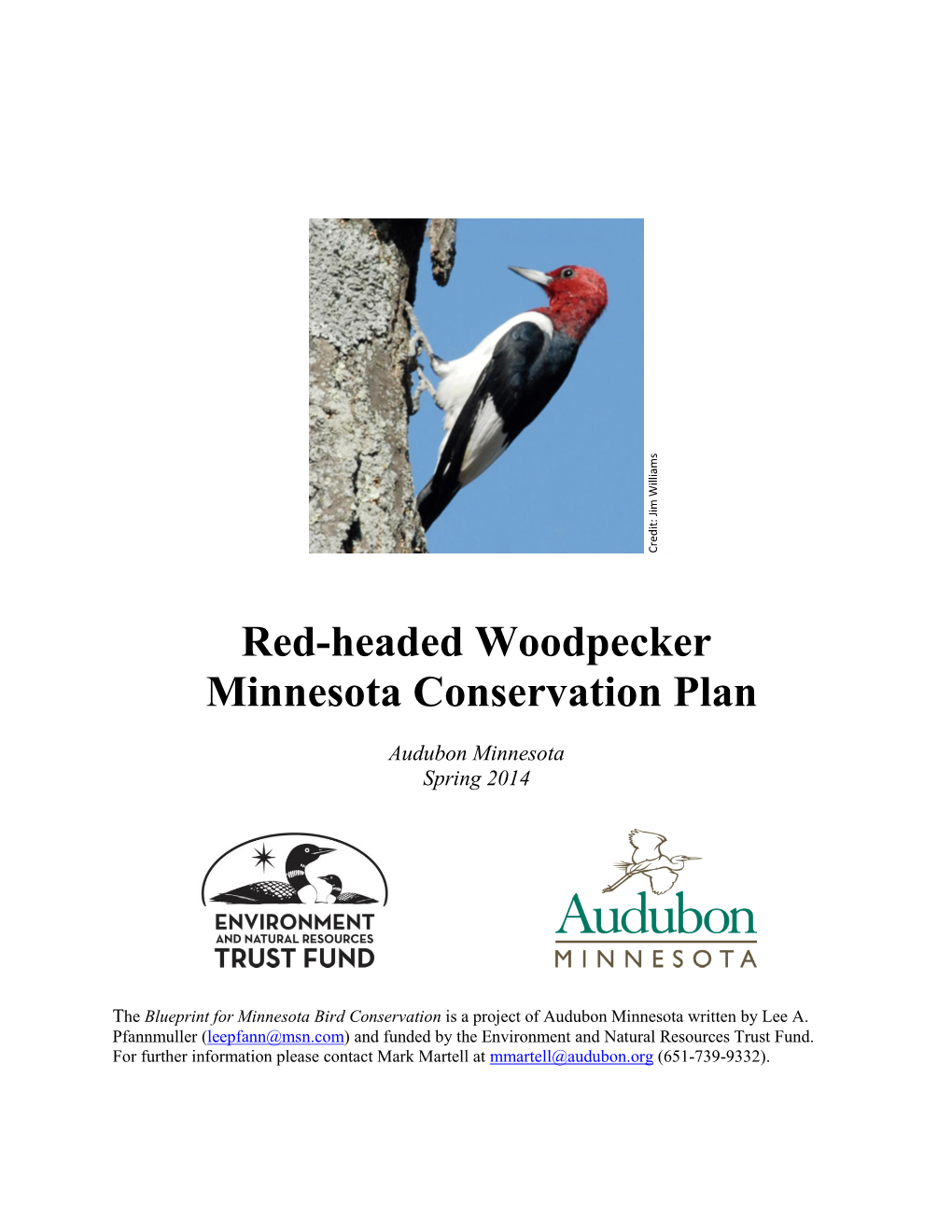 Red-Headed Woodpecker Minnesota Conservation Plan