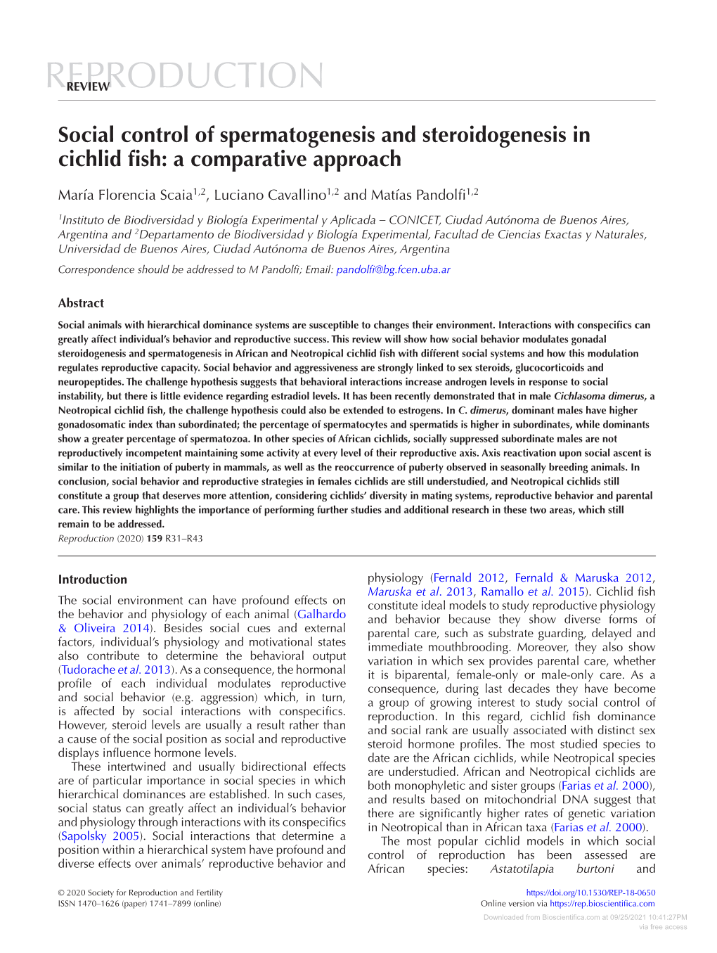 Social Control of Spermatogenesis and Steroidogenesis in Cichlid Fish: a Comparative Approach