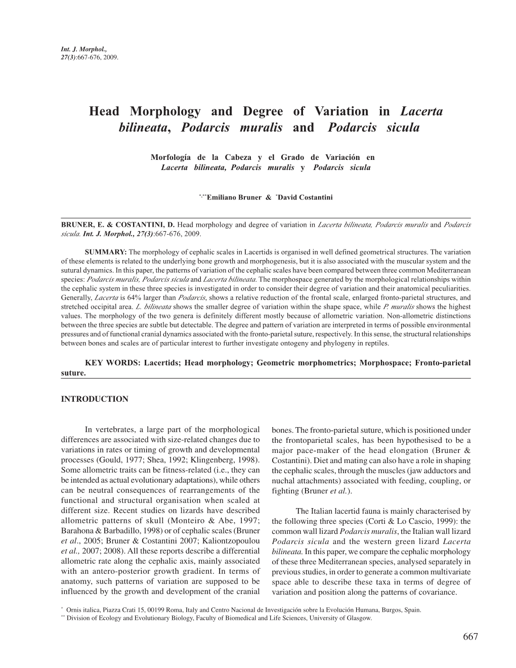 Head Morphology and Degree of Variation in Lacerta Bilineata, Podarcis Muralis and Podarcis Sicula