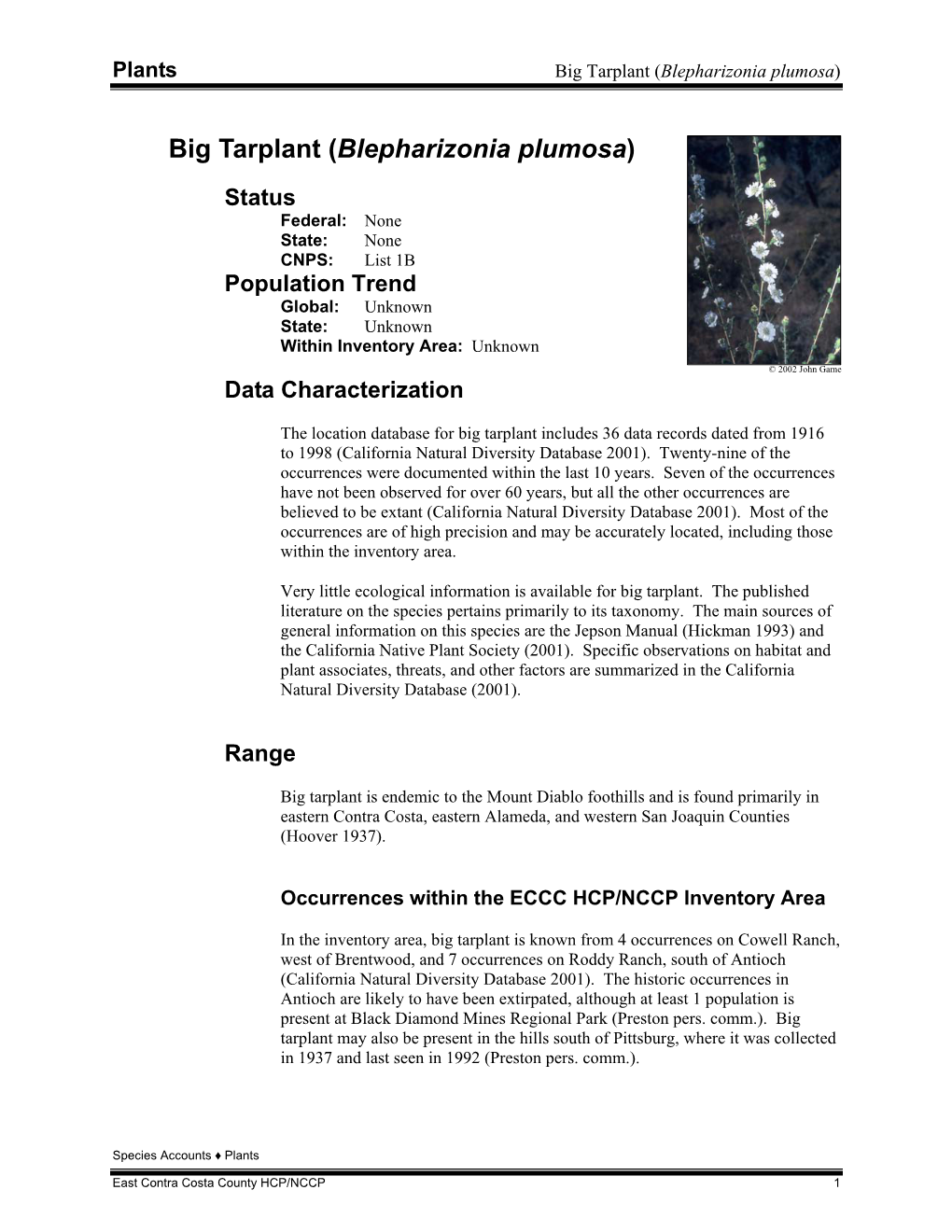 Plants Big Tarplant (Blepharizonia Plumosa)