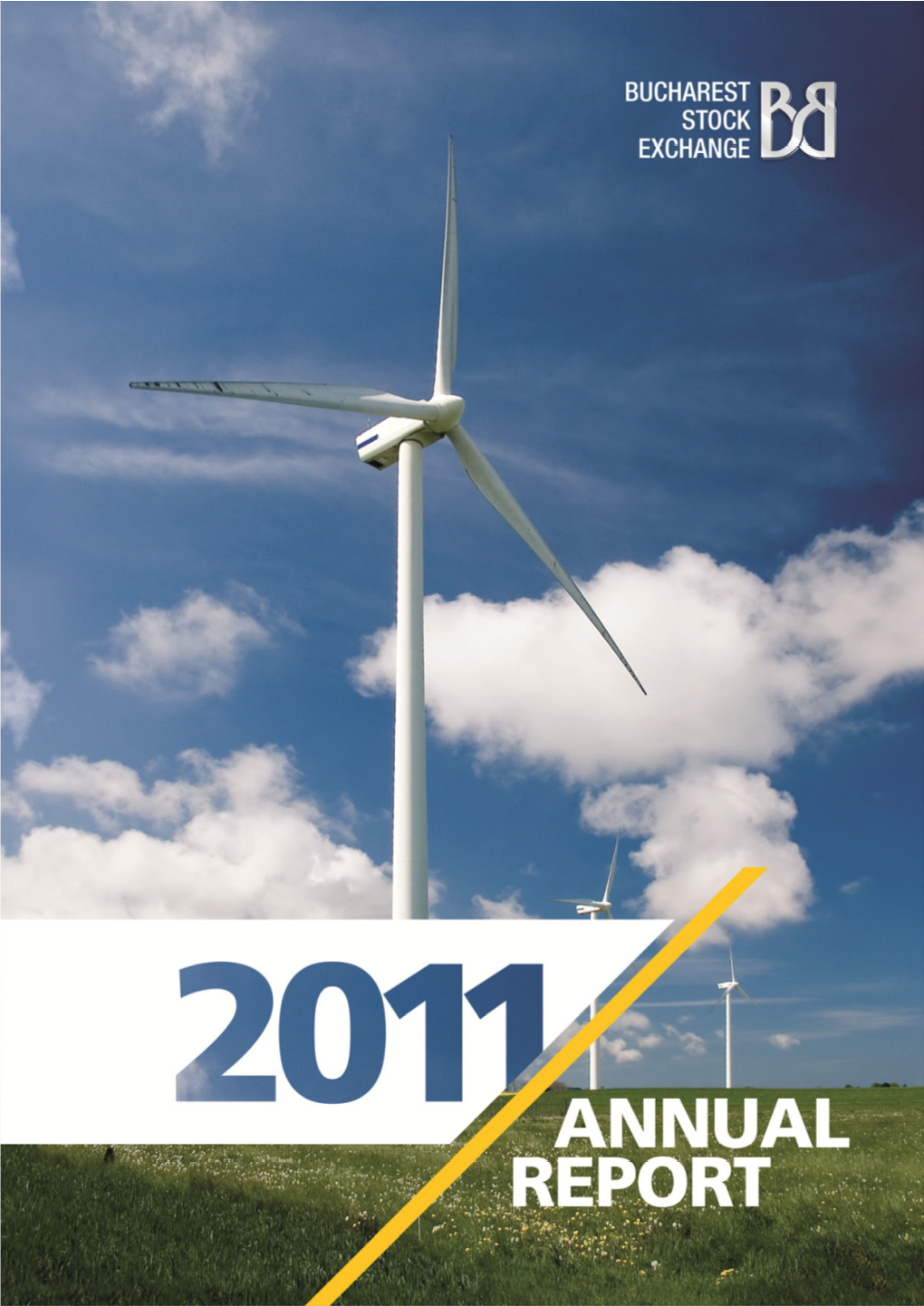 Annual Report 2011