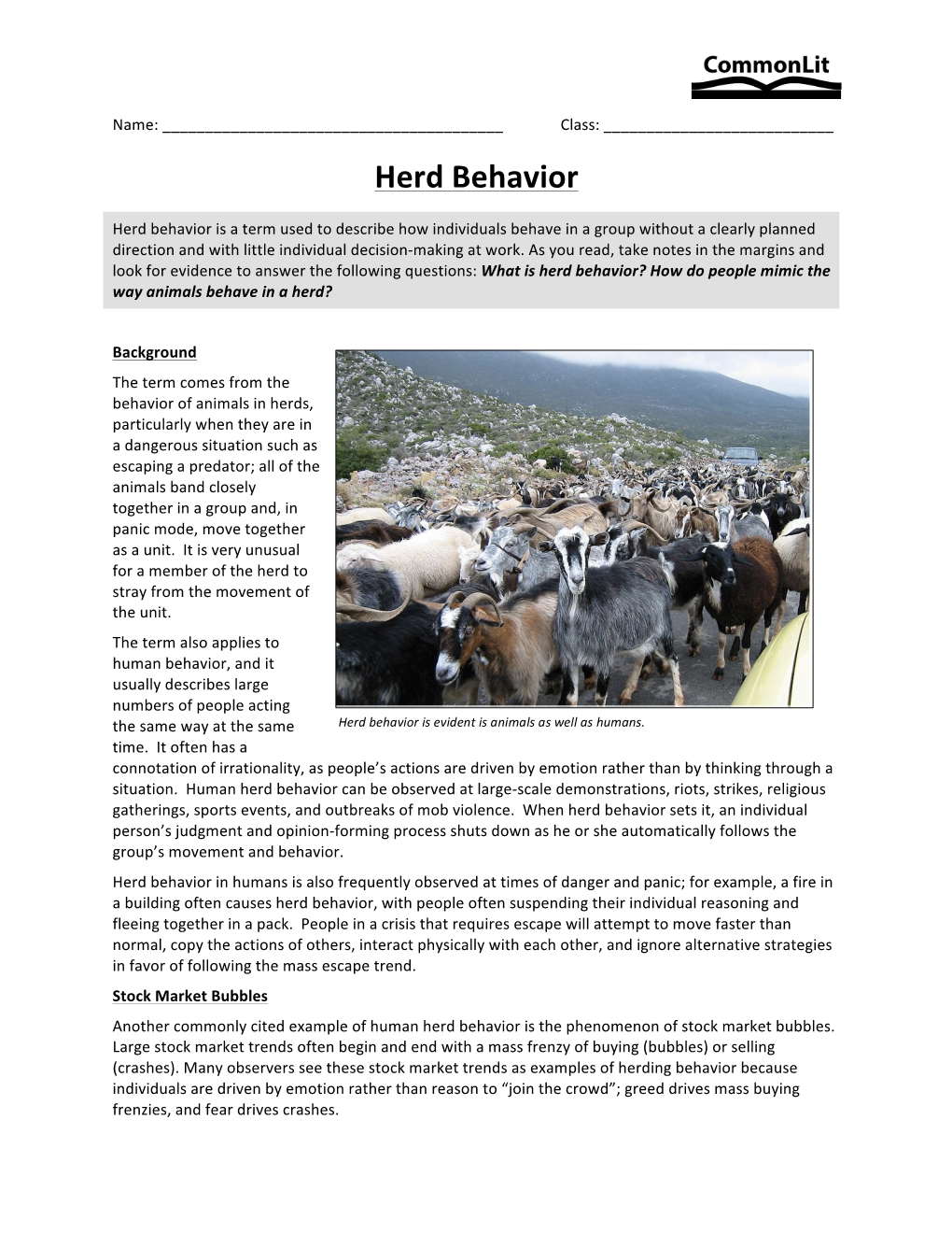 Herd Behavior