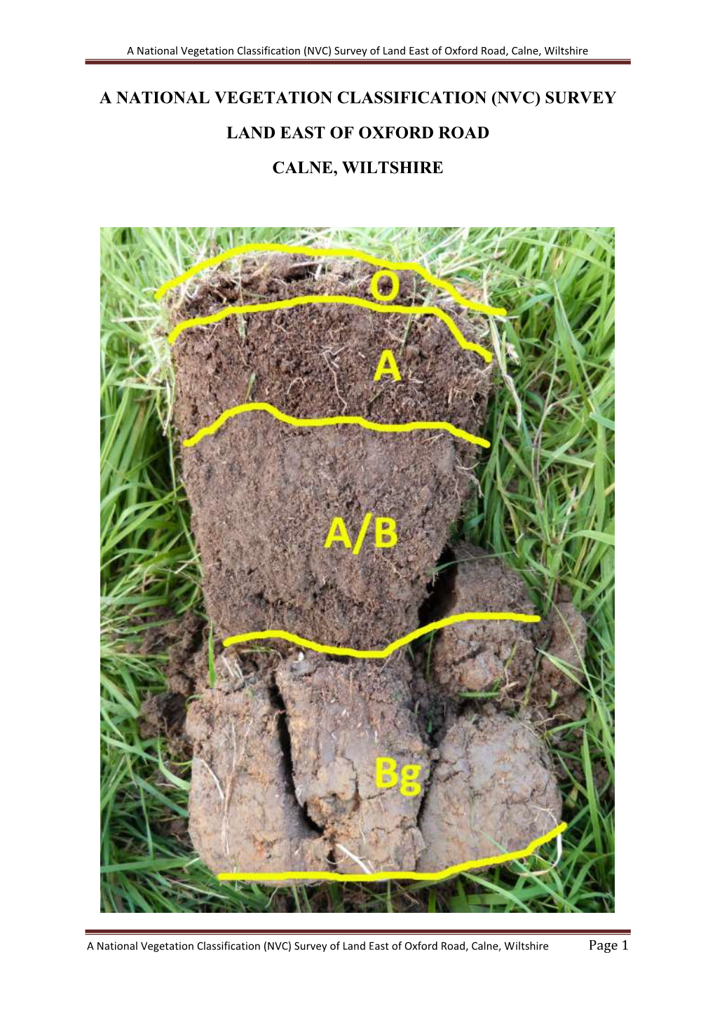 A National Vegetation Classification (NVC) Survey of Land East of Oxford Road, Calne, Wiltshire