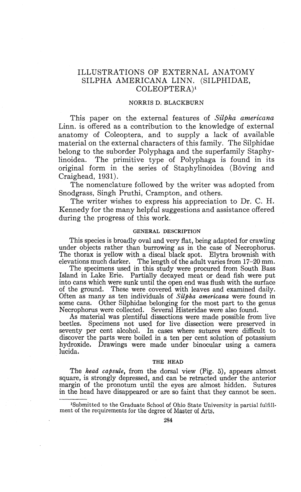 Illustrations of External Anatomy Silpha Americana Linn. (Silphidae, Coleoptera)1 Norris D