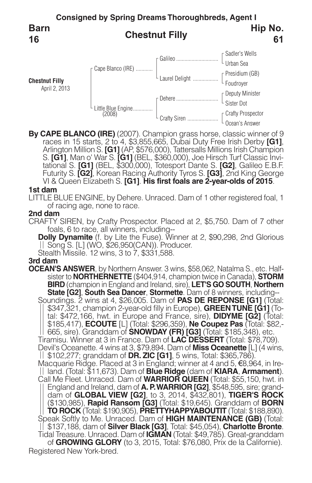 Chestnut Filly Barn 16 Hip No. 61