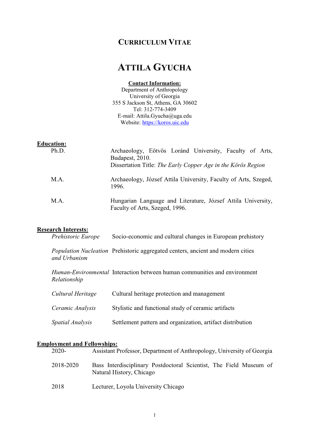 Curriculum Vitae