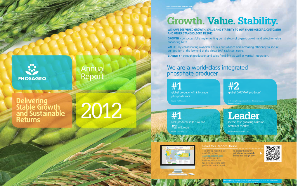 2012 Annual Report