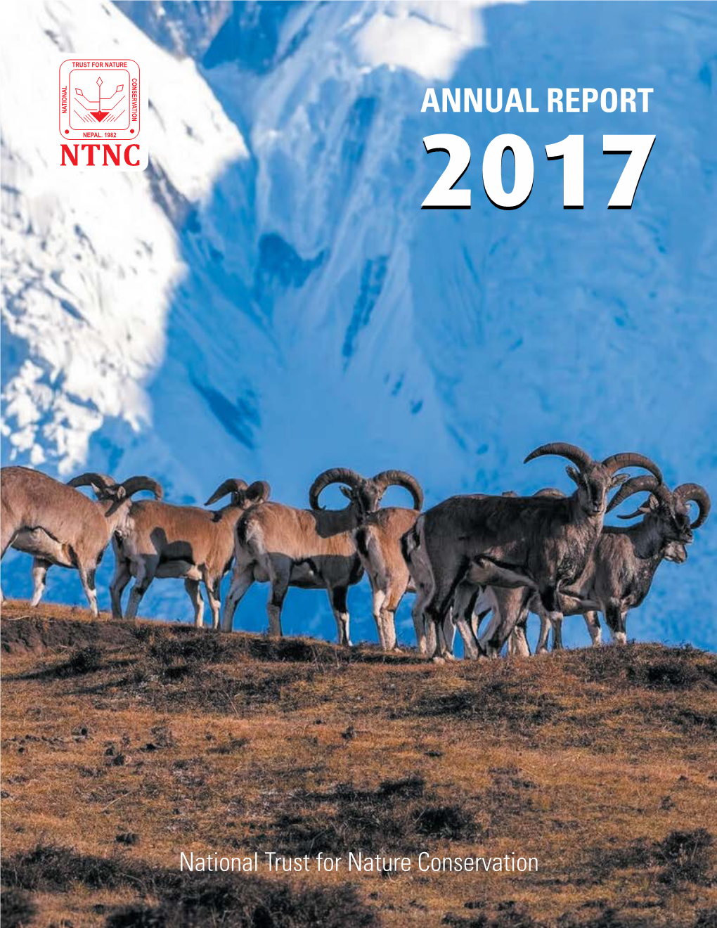 Annual Report 2017