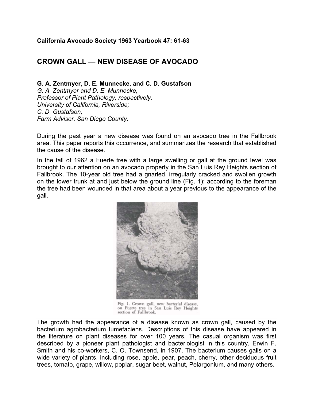 Crown Gall — New Disease of Avocado