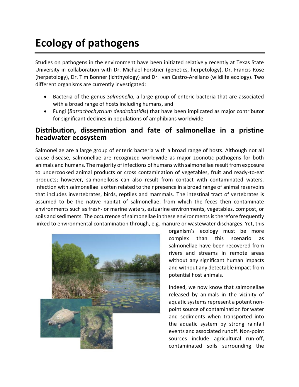 Ecology of Pathogens