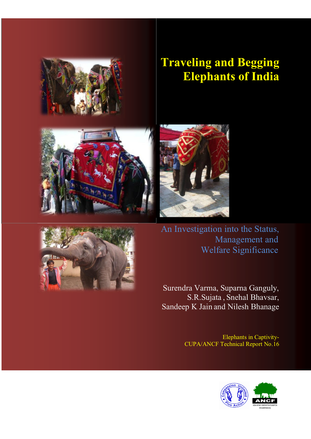 Traveling and Begging Elephants of India