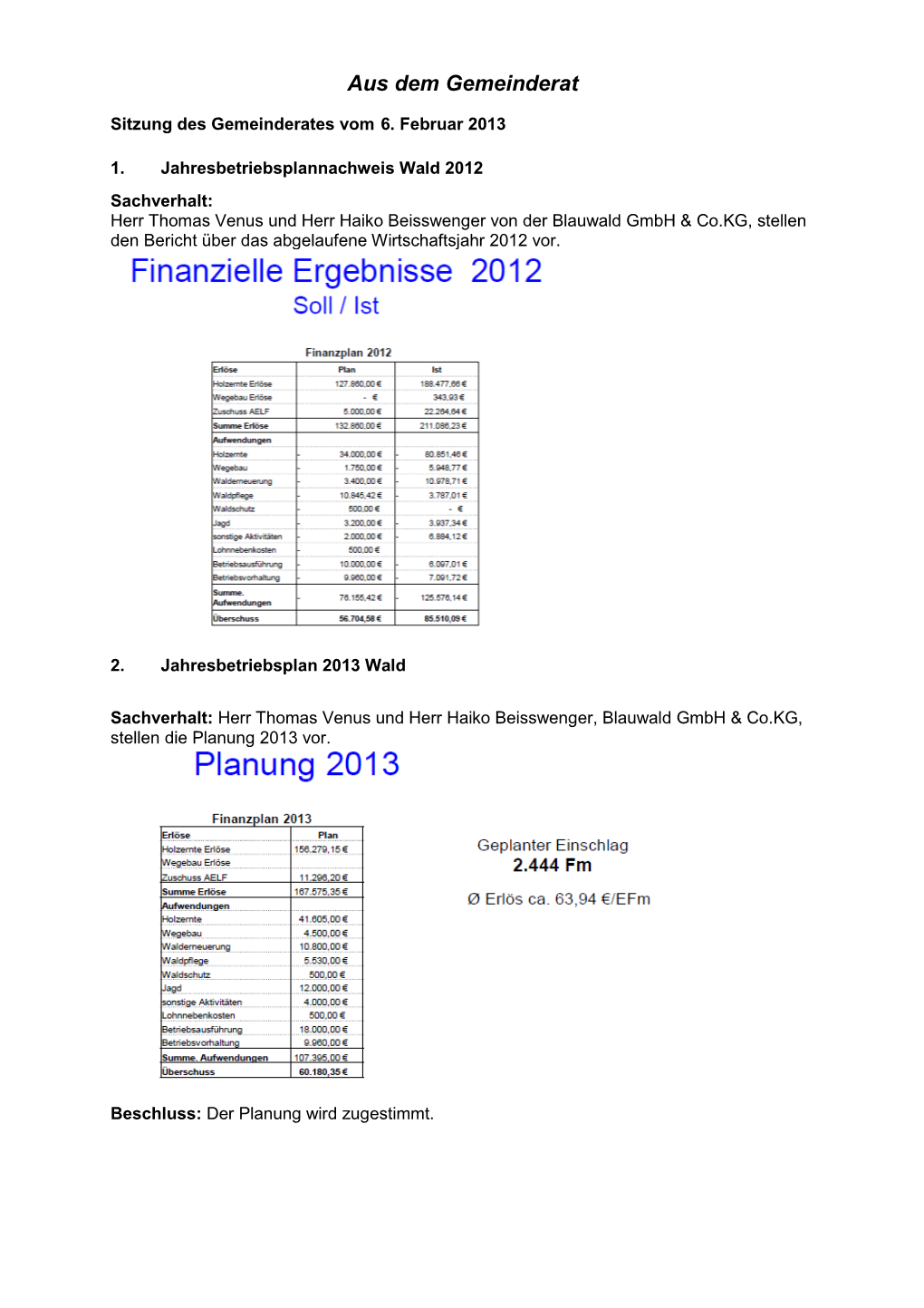 Gemeinderatssitzung Vom 2013.02.06