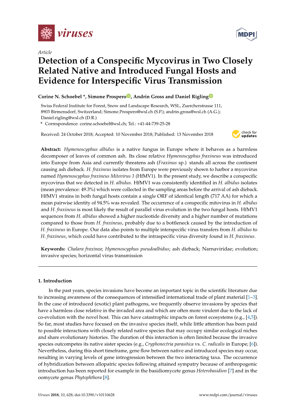 Detection of a Conspecific Mycovirus in Two Closely Related Native And