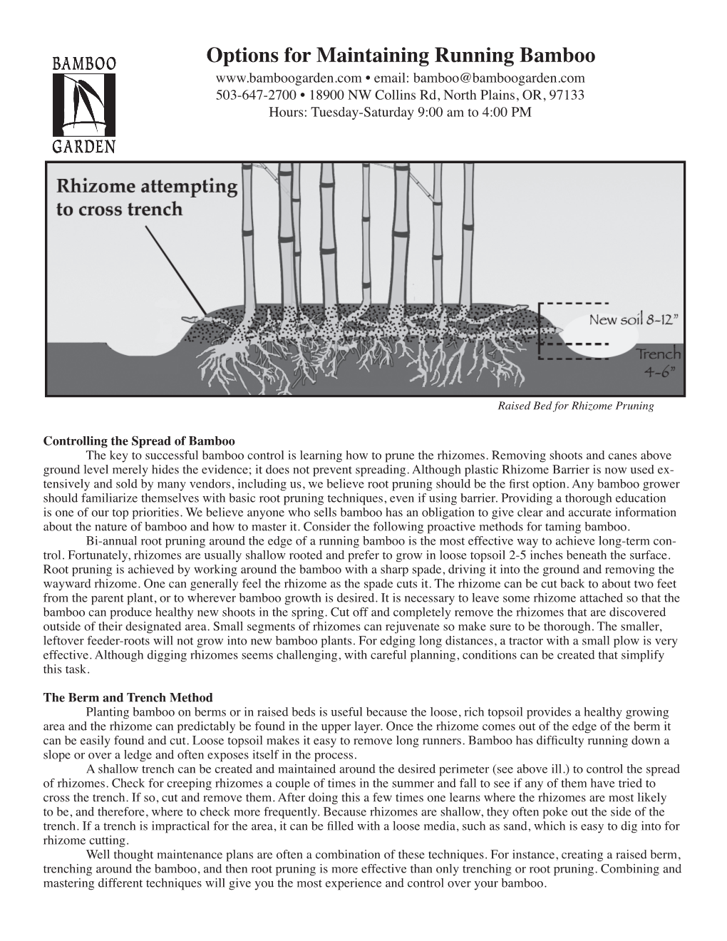 Options for Maintaining Running Bamboo