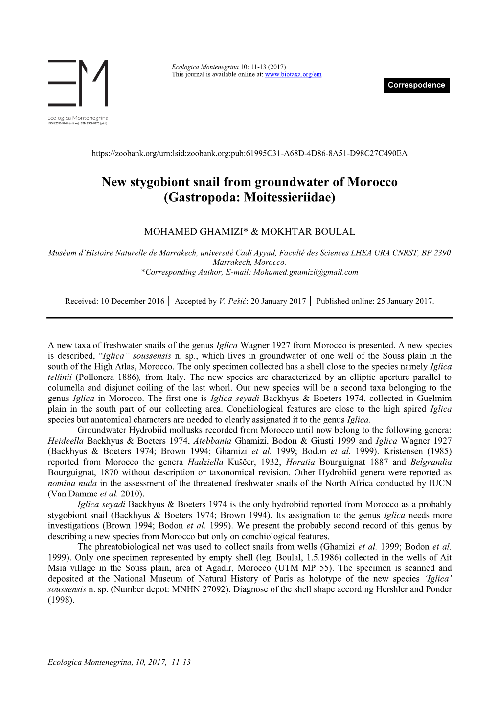 New Stygobiont Snail from Groundwater of Morocco (Gastropoda: Moitessieriidae)