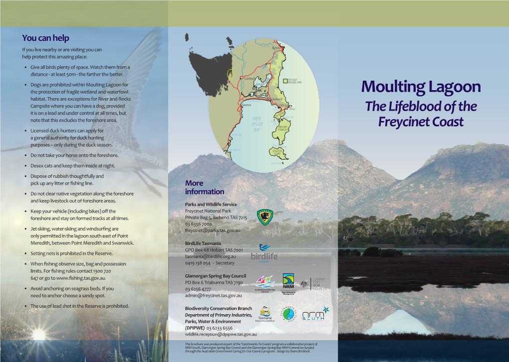 Moulting Lagoon Ramsar Site Brochure