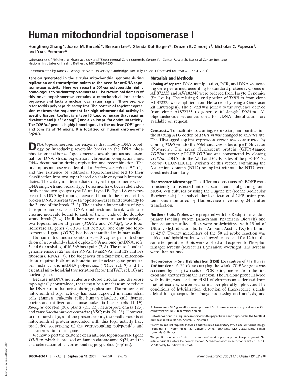 Human Mitochondrial Topoisomerase I