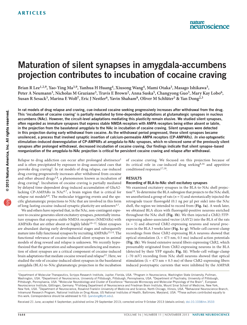 Maturation of Silent Synapses in Amygdala-Accumbens Projection Contributes to Incubation of Cocaine Craving