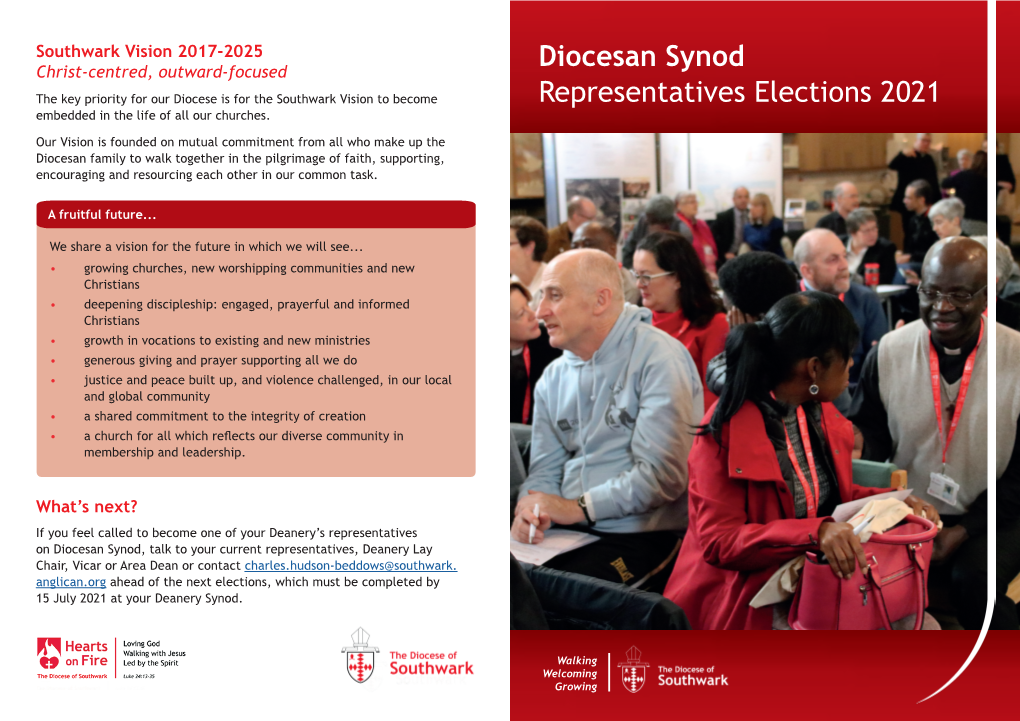 Diocesan Synod Representatives Elections 2021