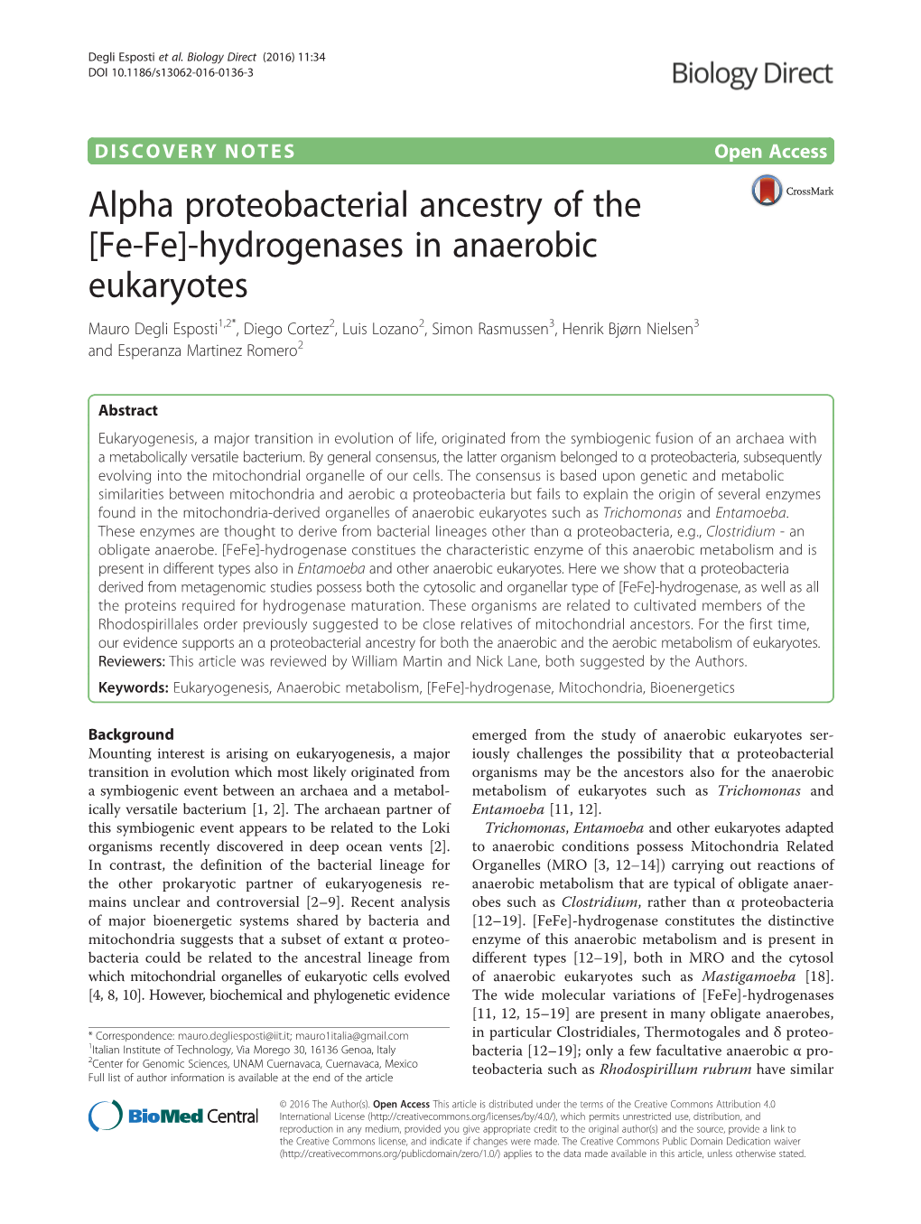 [Fe-Fe]-Hydrogenases in Anaerobic Eukaryotes