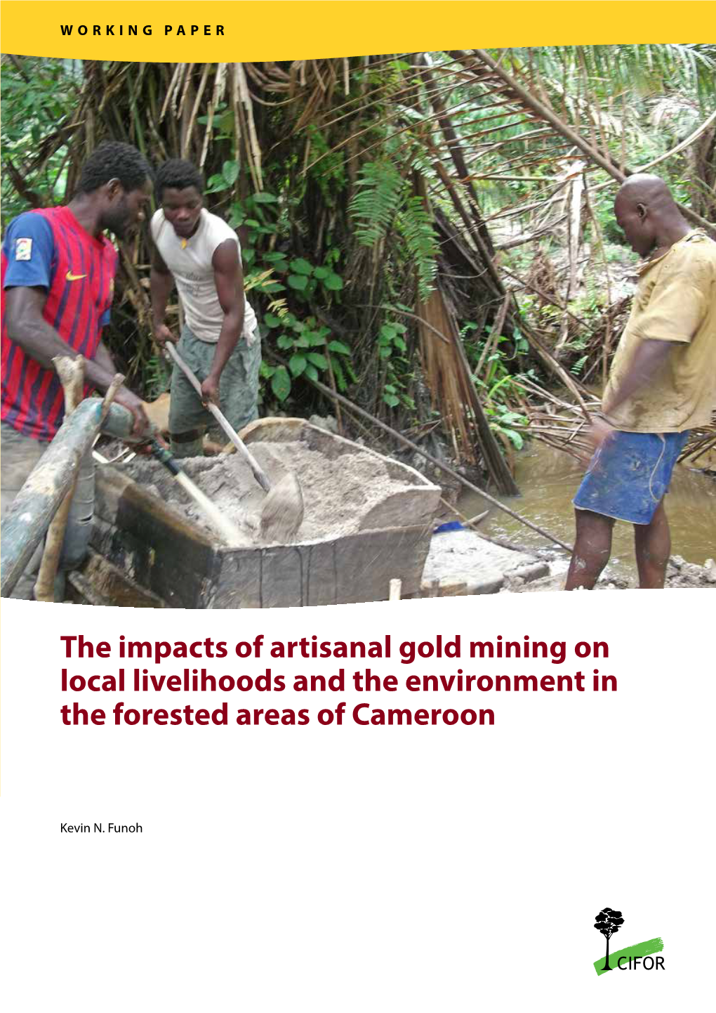 The Impacts of Artisanal Gold Mining on Local Livelihoods and the Environment in the Forested Areas of Cameroon