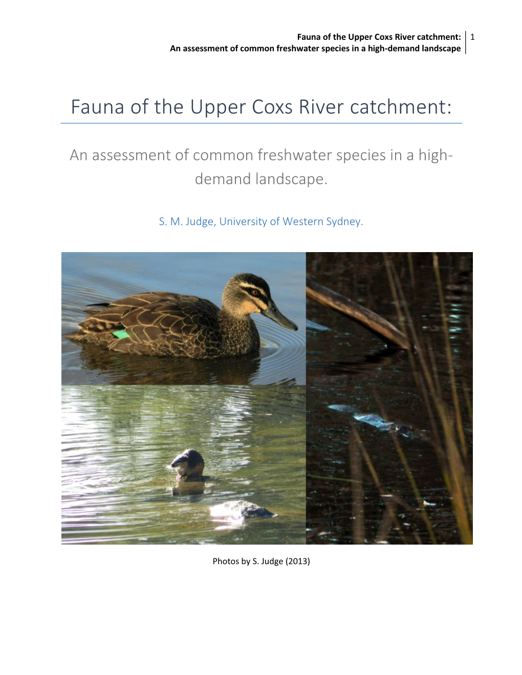 Fauna of the Upper Coxs River Catchment: 1 an Assessment of Common Freshwater Species in a High-Demand Landscape