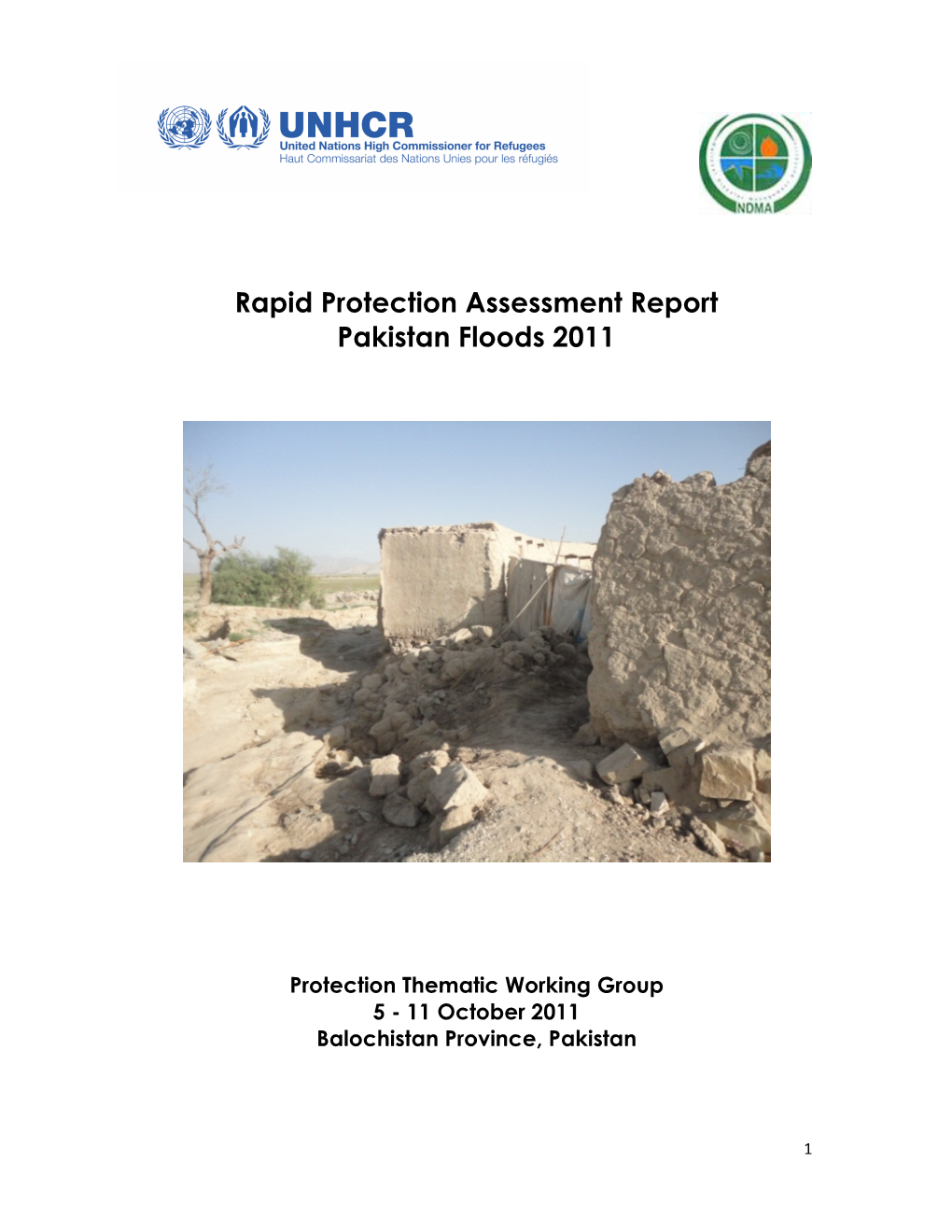 Rapid Protection Assessment Report Pakistan Floods 2011