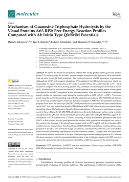 Mechanism of Guanosine Triphosphate Hydrolysis by the Visual Proteins Arl3-RP2: Free Energy Reaction Proﬁles Computed with Ab Initio Type QM/MM Potentials