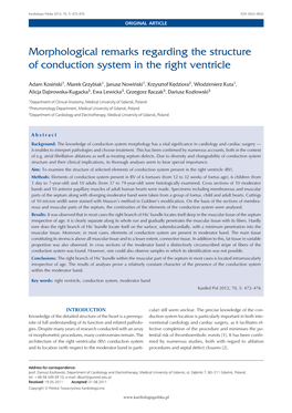 Morphological Remarks Regarding the Structure of Conduction System in the Right Ventricle