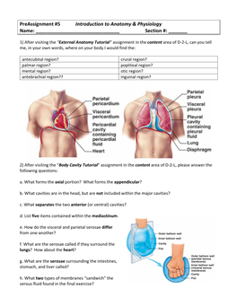 Preassignment #5 Introduction to Anatomy & Physiology Name